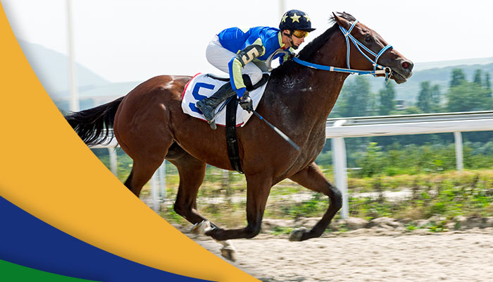 Jockey Club: um ícone da vida social paulistana 