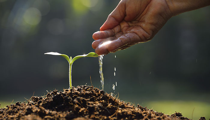 A AFPESP na COP 30 e o compromisso com o clima