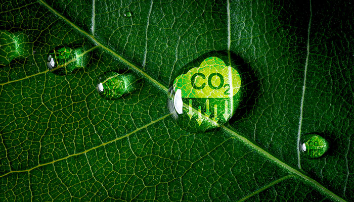 Inventário de emissões de GEE da AFPESP prevê neutralidade em 2030