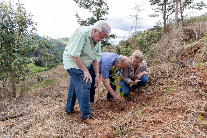 1128 imagem interna plantio 1