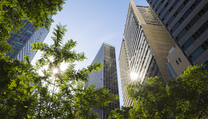 A AFPESP e os municípios: sustentabilidade