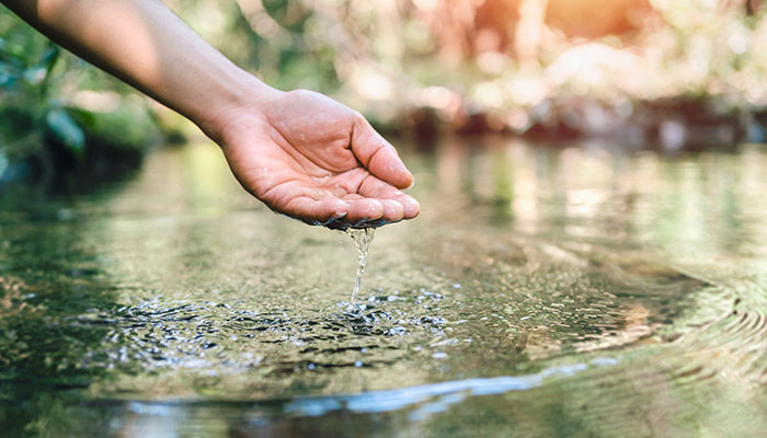 AFPESP e suas águas