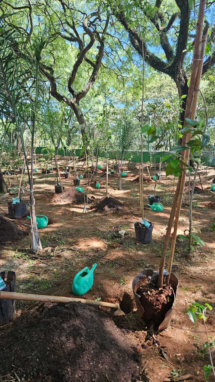 0126 imagem interna AFPESP estuda adotar bosque Bosque Macuco
