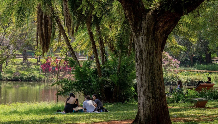 Primavera chegando: parques de São Paulo têm programação especial em setembro