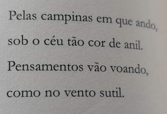 Trova do escritor Kauê Inaba. Foto: acervo pessoal