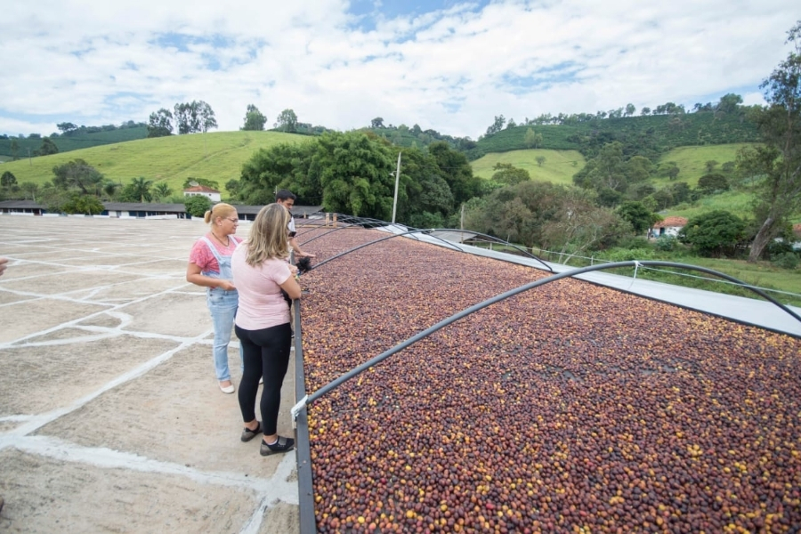 Visita a Fazenda de Café