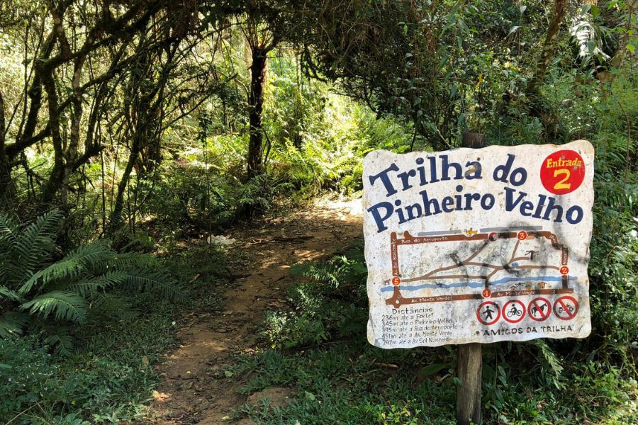 Trilha do Pinheiro Velho