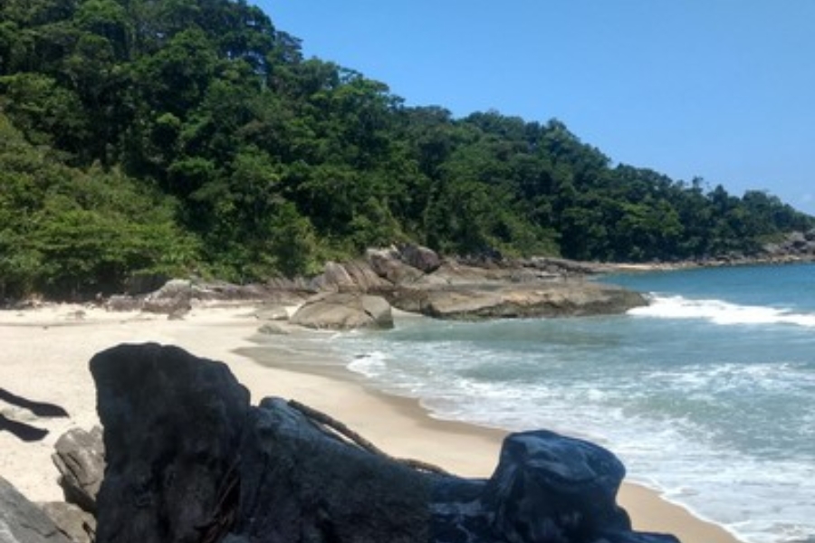 Praia Brava