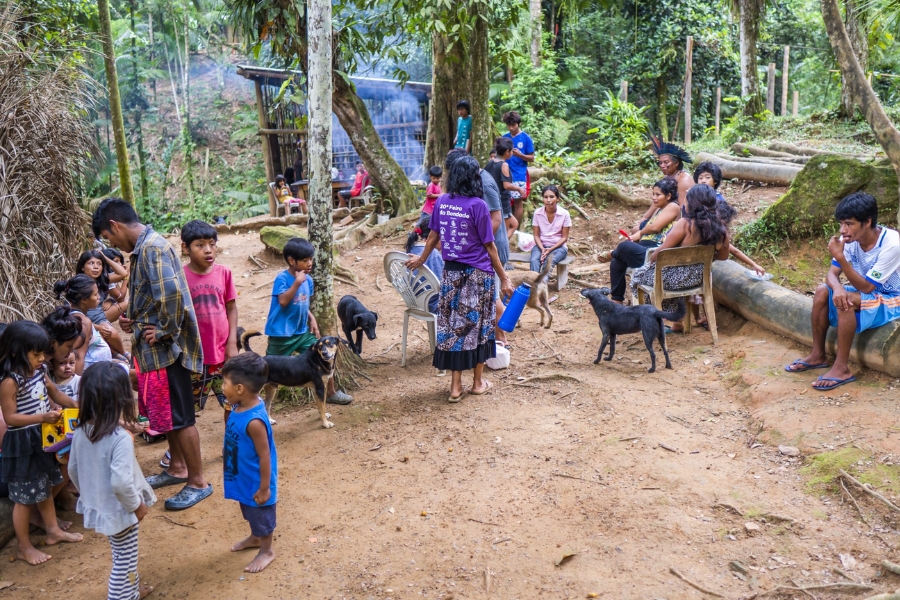 Reserva Indígena Tupi Guarani do Rio Silveira